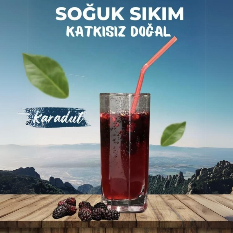 🍇 Schwarze Maulbeeren Extrakt - Karadut Özü (700ml) - Natürlicher Antioxidans-Boost