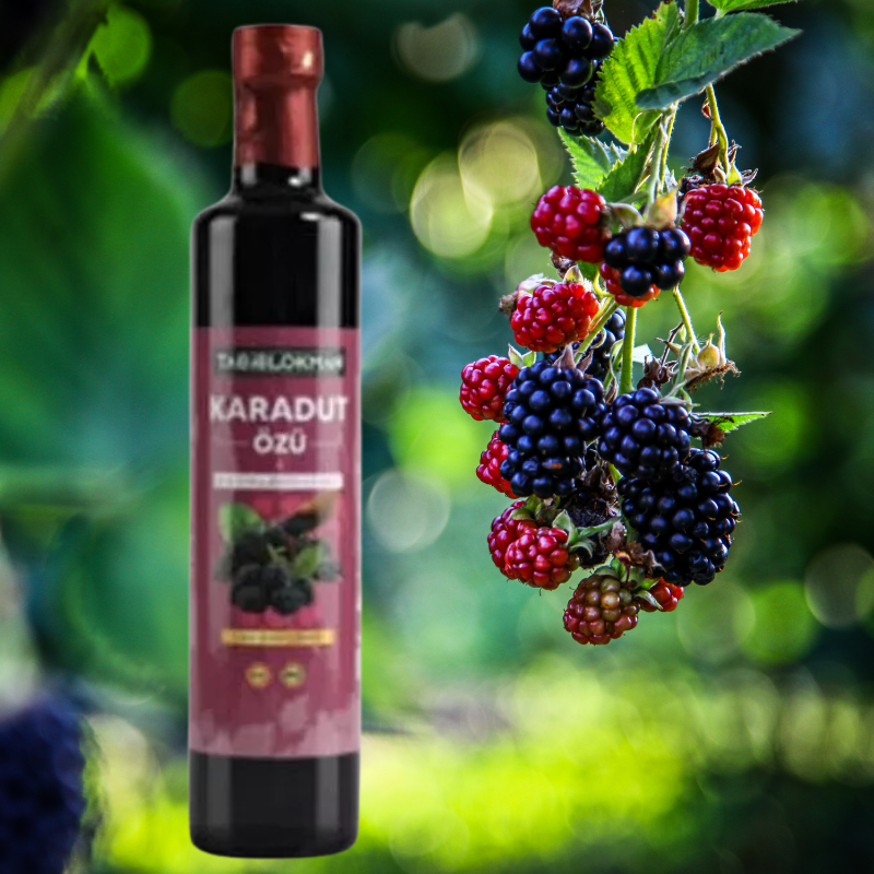 🍇 Schwarze Maulbeeren Extrakt / Karadut Özü 100% Naturel (700ml) - Tabilokman