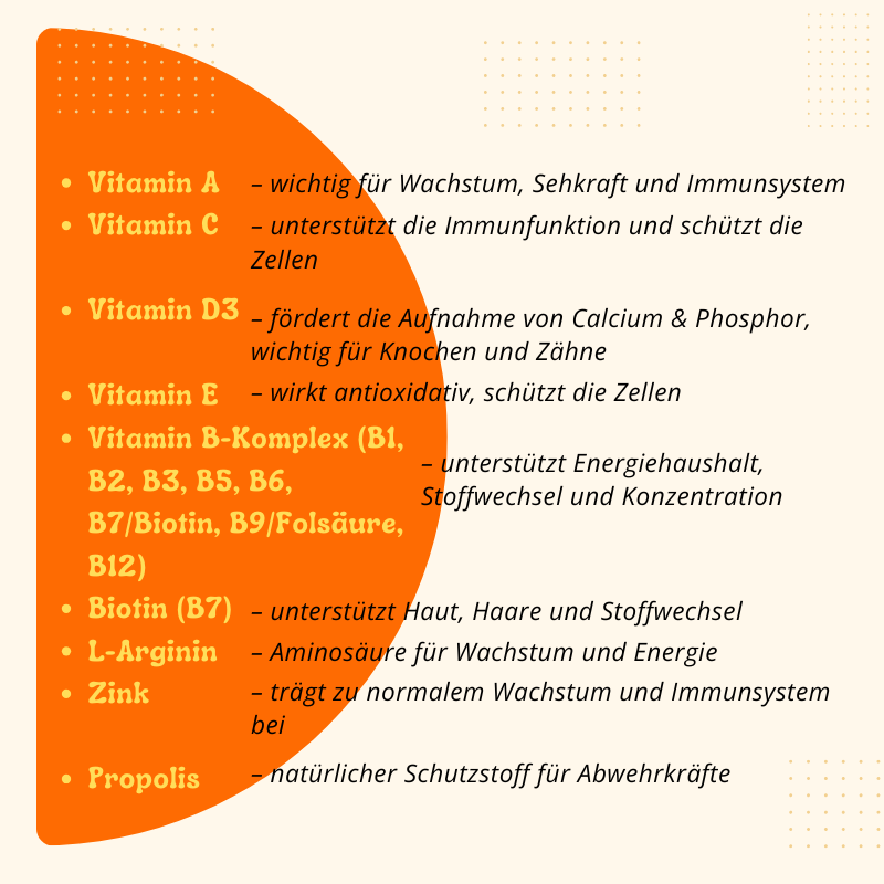 VİTA CEEL Kids Multivitamin Komplex – Vitamin D3, C, B-Komplex & Zink für Kinder (60 Stück / 240 g)