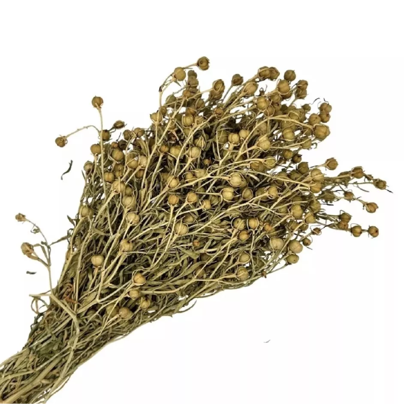 🌿 Üzerlik Otu – Steppenraute Bündel (70-90g)