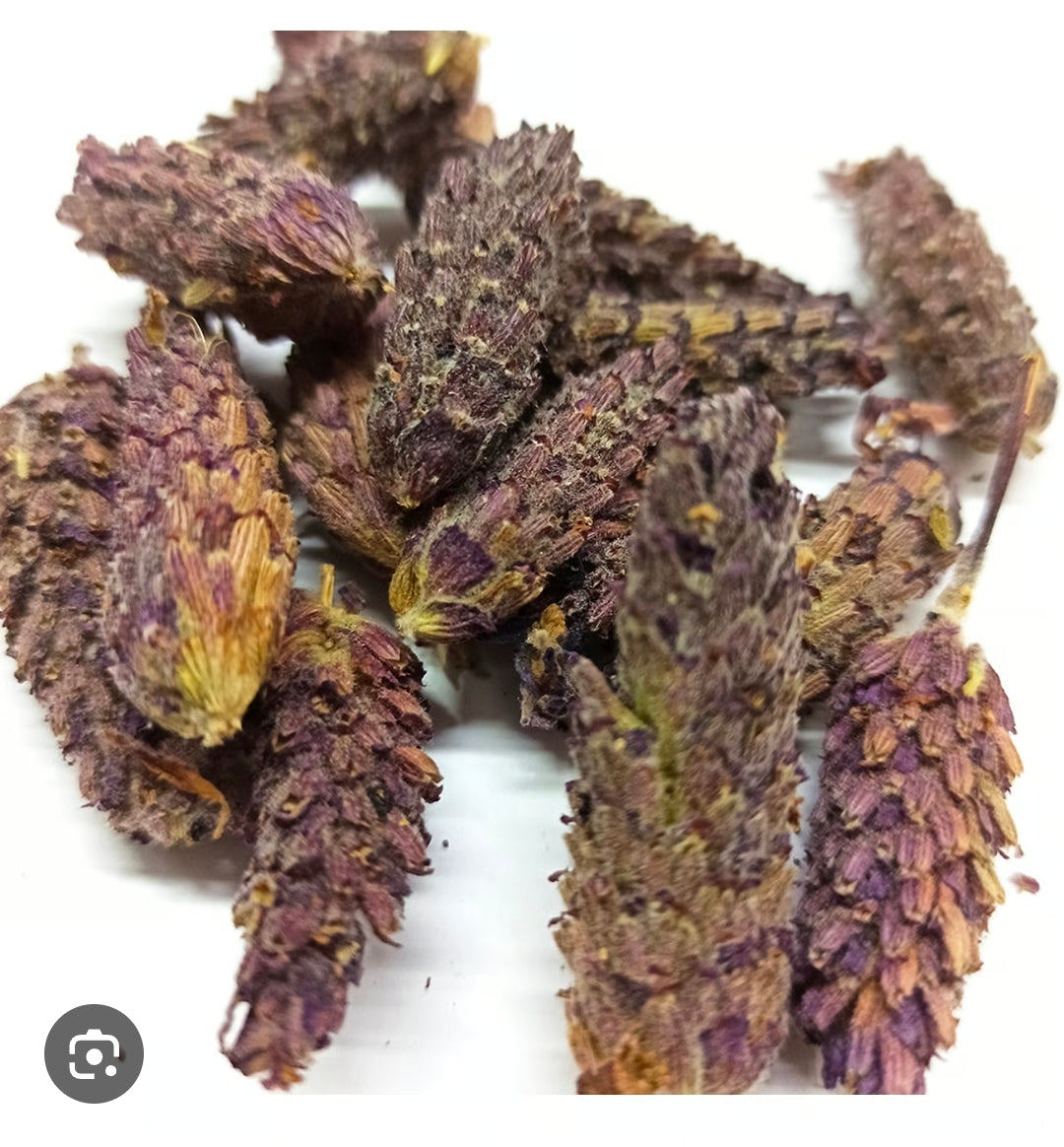 Karabaş Otu - Schopf Lavendel (30g)