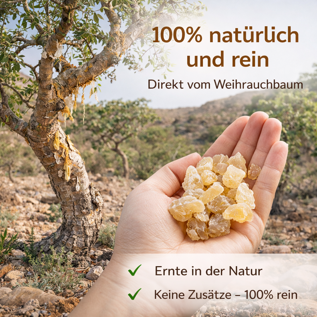 Boswellia Serrata Weihrauch Harz – 100 g Natur Räucherharz zum Räuchern