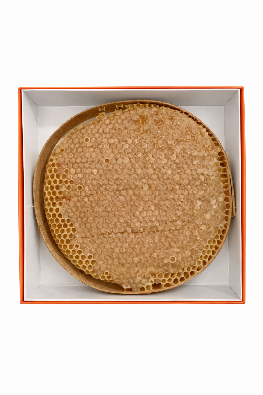 Toroslar Wabenhonig – Naturbelassener Karakovan Honig ohne Zusatzstoffe (1200–1300 g)