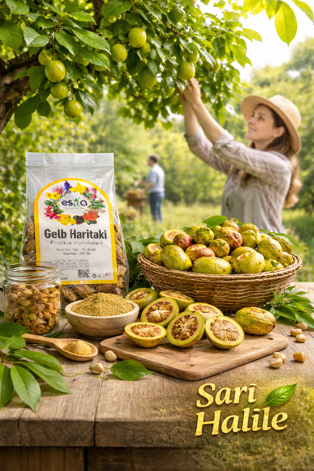 Sarı Halile – Gelb Haritaki Frucht 100g | Terminalia Chebula | Premium Naturprodukt