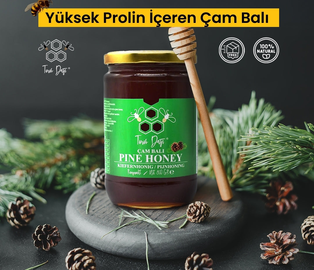 Çam Balı, Kiefernhonig,860gr