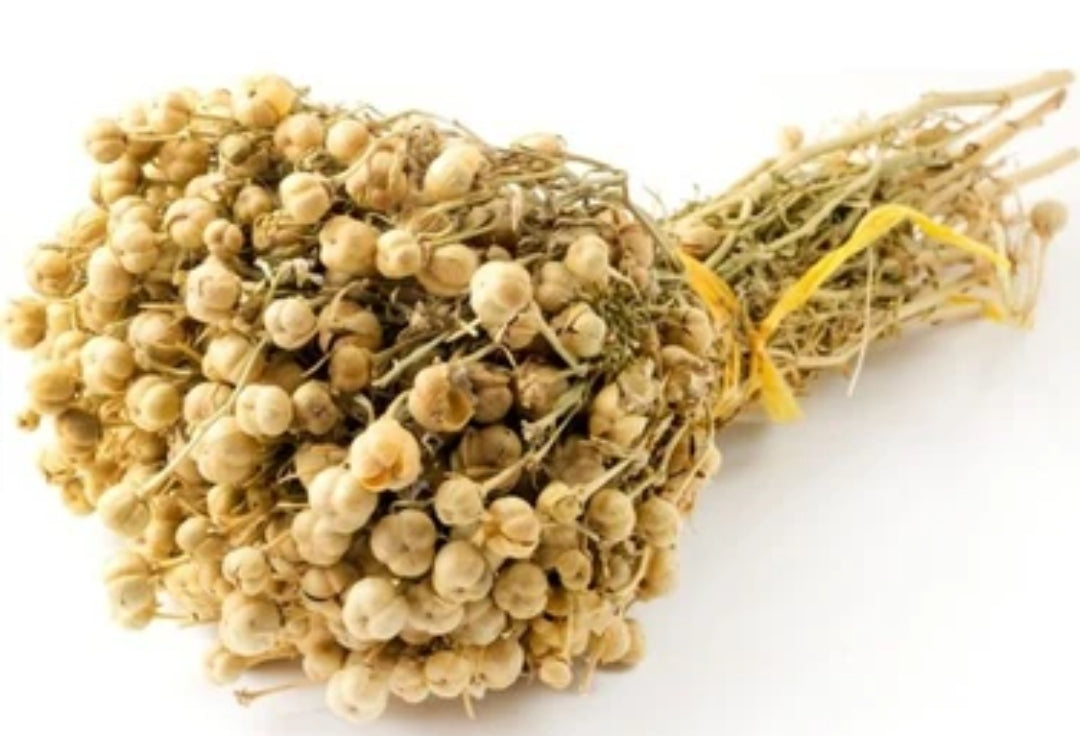 🌿 Üzerlik Otu – Steppenraute Bündel (70-90g)